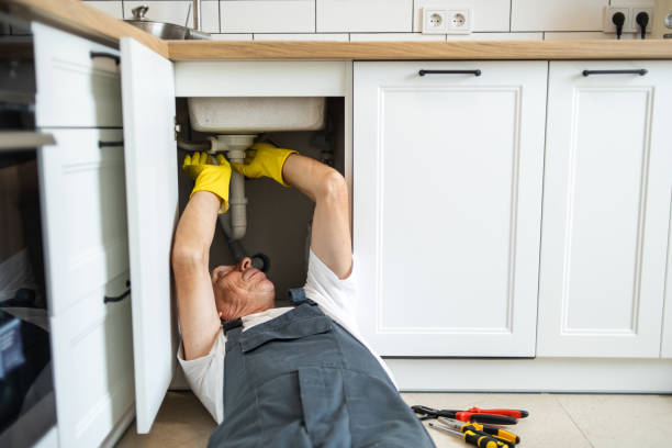 Best Toilet Repair Services  in Epworth, IA